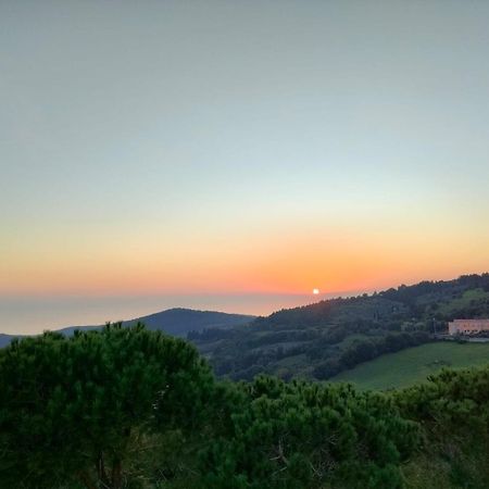 Vista Sulle Isole Dell'Arcipelago Toscano Nibbiaia Habitación foto